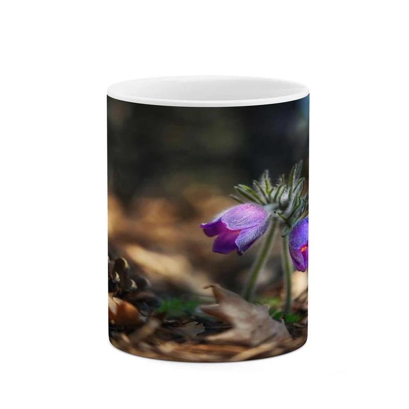 ماگ کاکتی مدل گل کد mgh14476