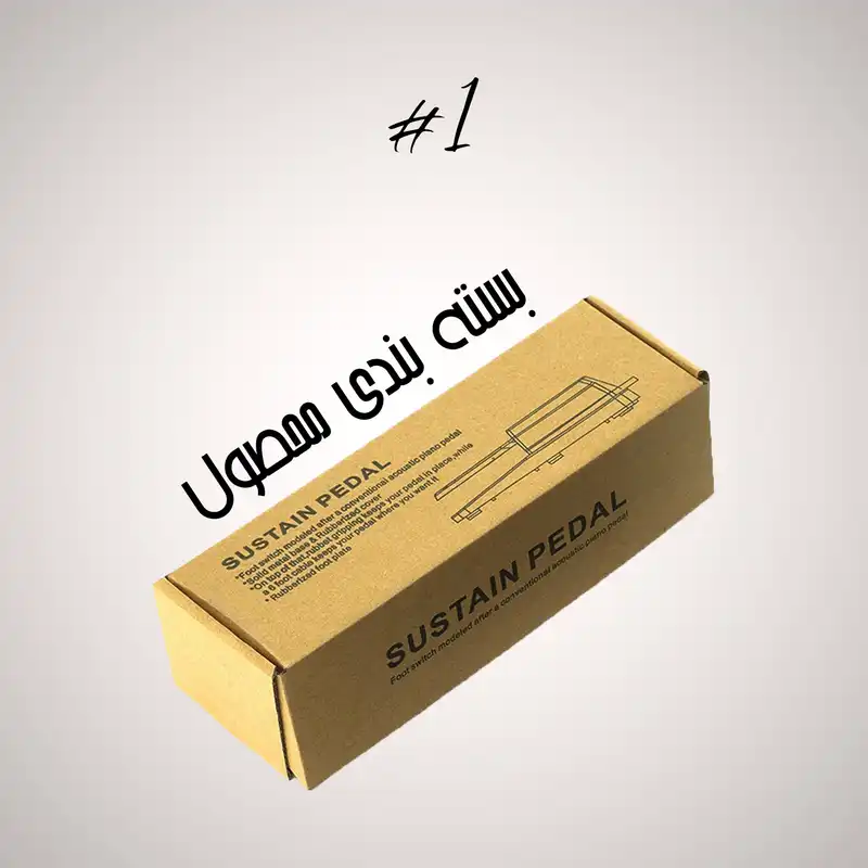 پدال ساستین مدل  PDH-20