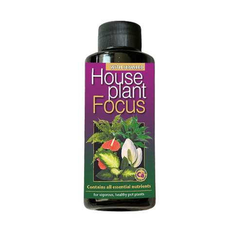 کود کامل گیاهان آپارتمانی فوکوس مدل WS حجم 100 میلی لیتر