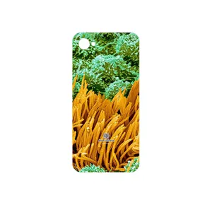 MAHOOT Atom Universe 6 Cover Sticker for HTC Desire 12