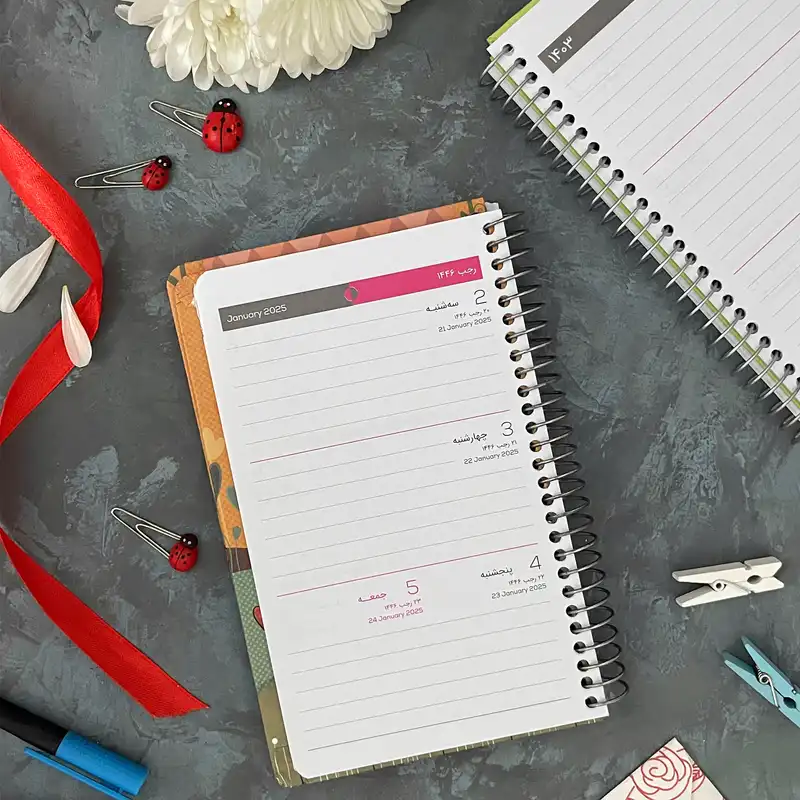 سالنامه سال 1403 دایان مدل آلیس کد 06