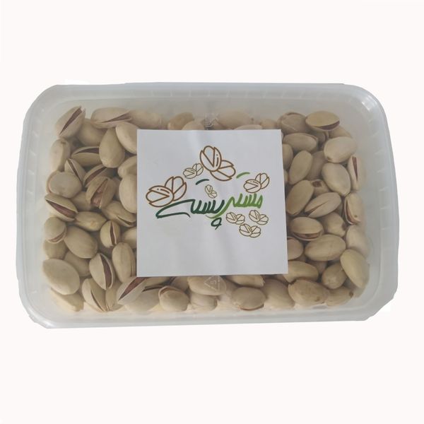 پسته شور رفسنجان 
مستر پسته - 400 گرم