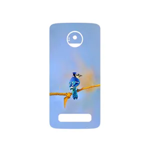 MAHOOT Cyanocitta cristata Cover Sticker for Motorola Moto Z
