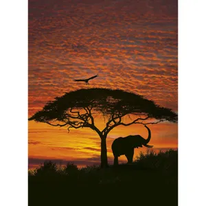 پوستر دیواری کومار مدل African Sunset 4-501