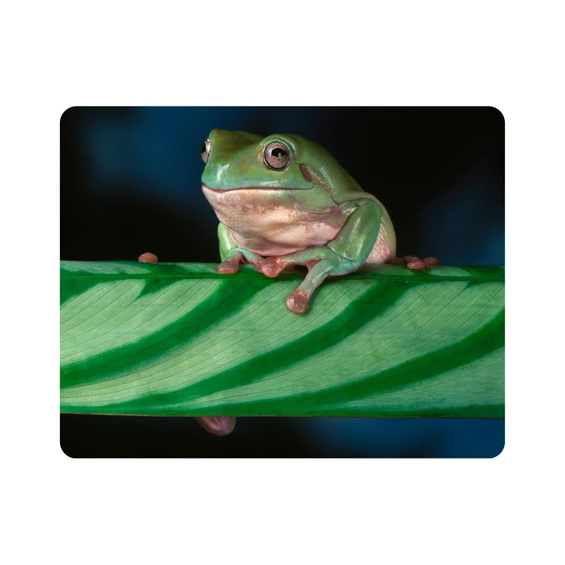 ماوس پد اطلس آبی طرح برگ و قورباغه مدل T2179