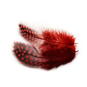 پر رنگی دریم کچر مدل R-spotted بسته 10 عددی