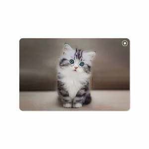 MAHOOT Cat-2 Cover Sticker for Huawei Matepad T10 2020 AGS-L09