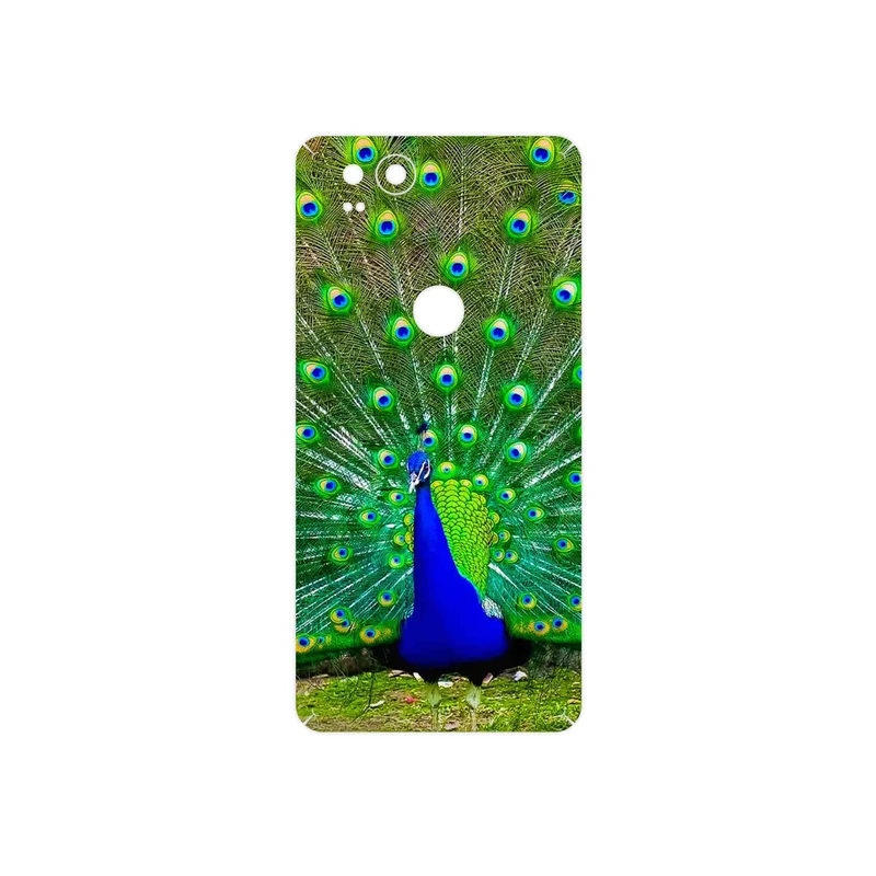 برچسب پوششی ماهوت مدل Peacock مناسب برای گوشی موبایل گوگل Pixel 2
