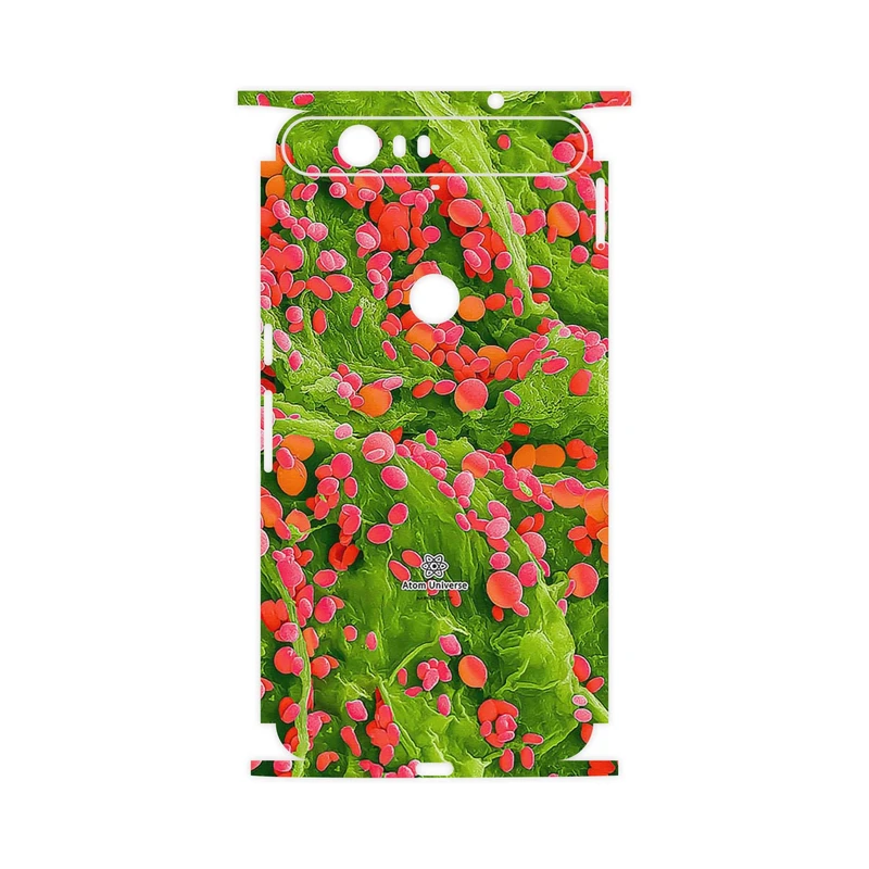 برچسب پوششی ماهوت مدل Atom Universe 3-FullSkin مناسب برای گوشی موبایل گوگل Nexus 6P