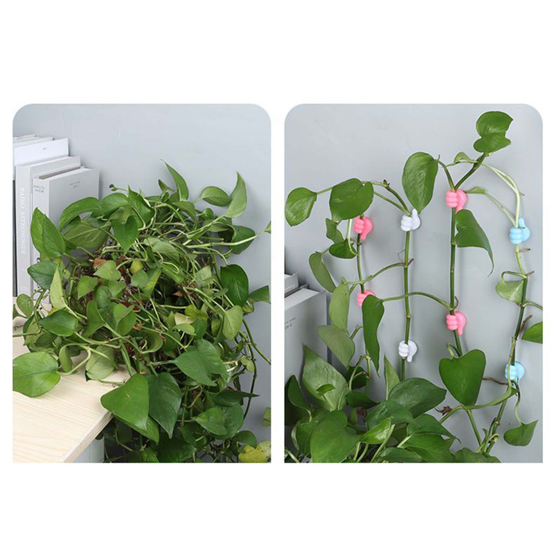 نگهدارنده شاخه طرح دست مجموعه 5 عددی