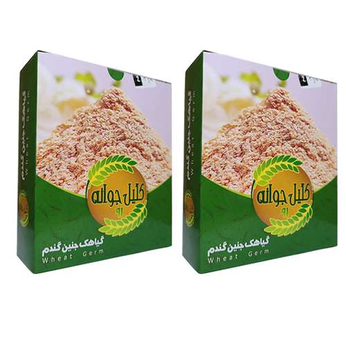 گیاهک گندم 91 کلیل جوانه - 200 گرم بسته 2 عددی
