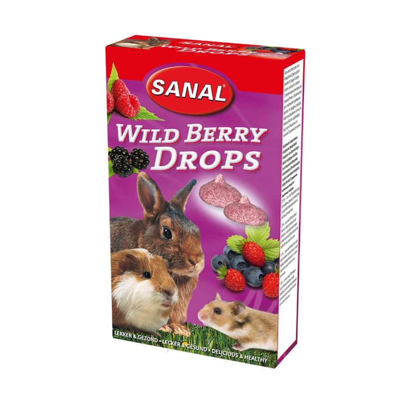 تشویقی جونده سانال مدل ویتامینه وزن 45 گرم