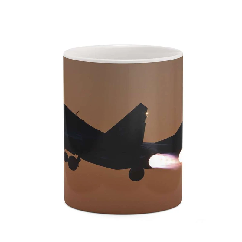 ماگ کاکتی مدل هواپیمای جنگنده کد mgh20357