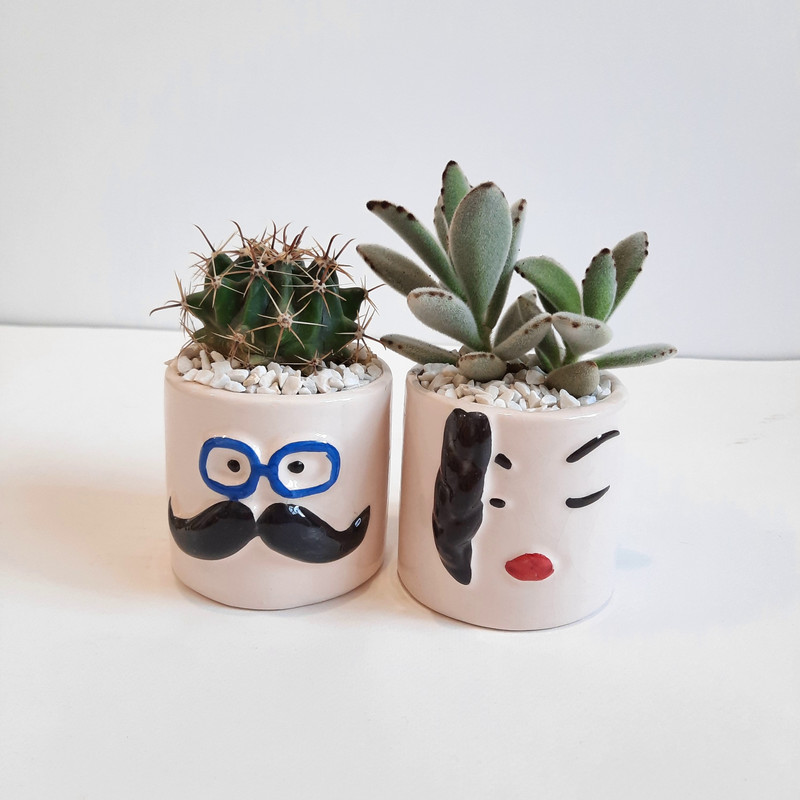 گیاه طبیعی ساکولنت و کاکتوس طرح زن و شوهر مجموعه 2 عددی کد 2