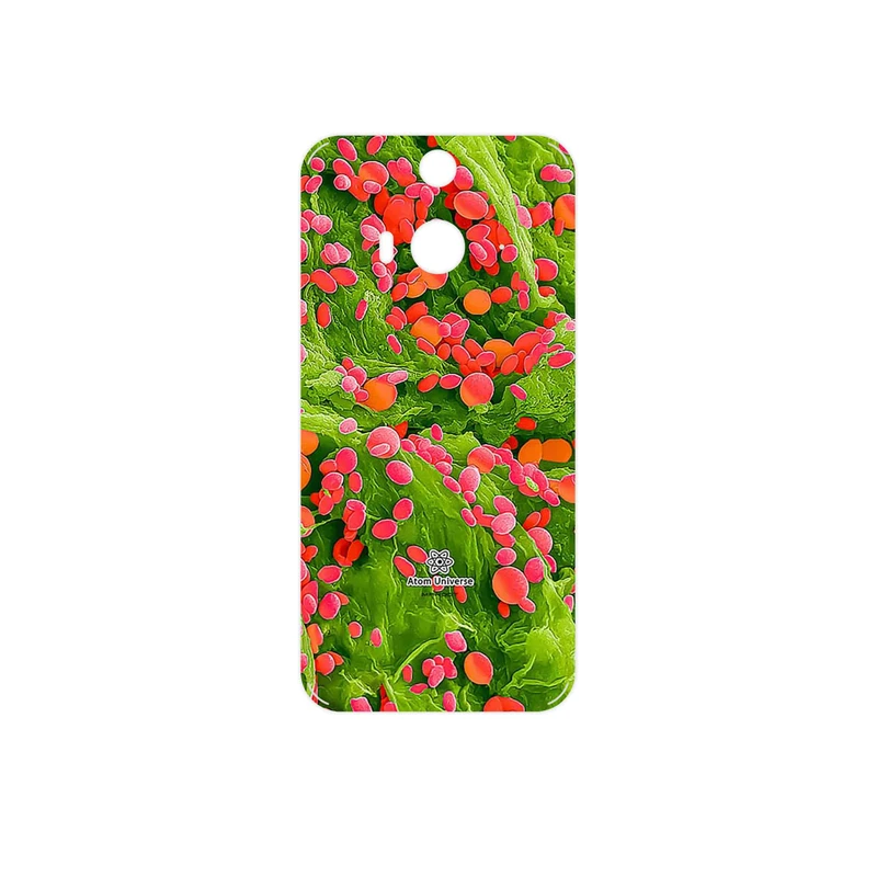 برچسب پوششی ماهوت مدل Atom Universe 3 مناسب برای گوشی موبایل اچ تی سی Butterfly 2