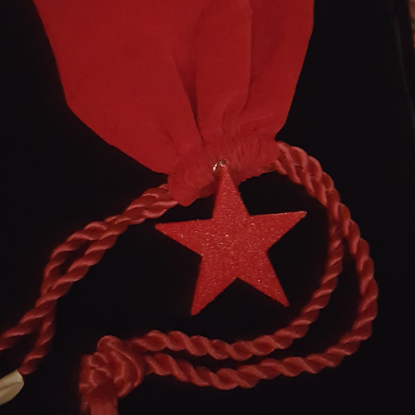 آویز گردنبند زنانه مدل ستاره کد 100