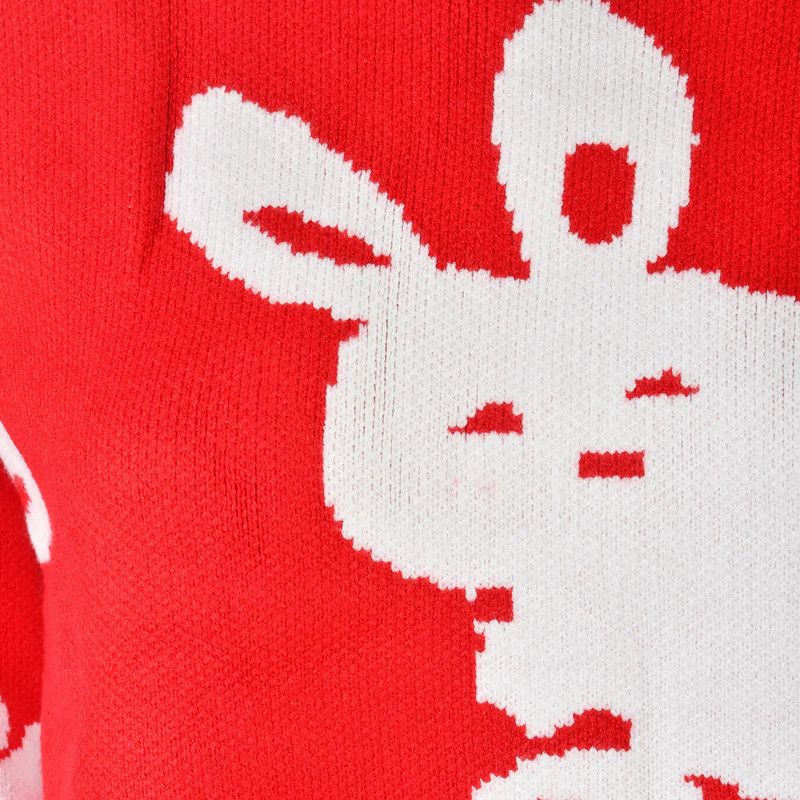 پلیور زنانه مدل MDSS-AU4363