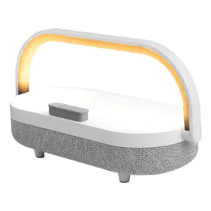 شارژر بی سیم ایگائور مدل Smartphone Wireless