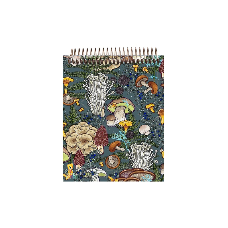 دفتر نقاشی 50 برگ بانیبو مدل قارچ کد 307