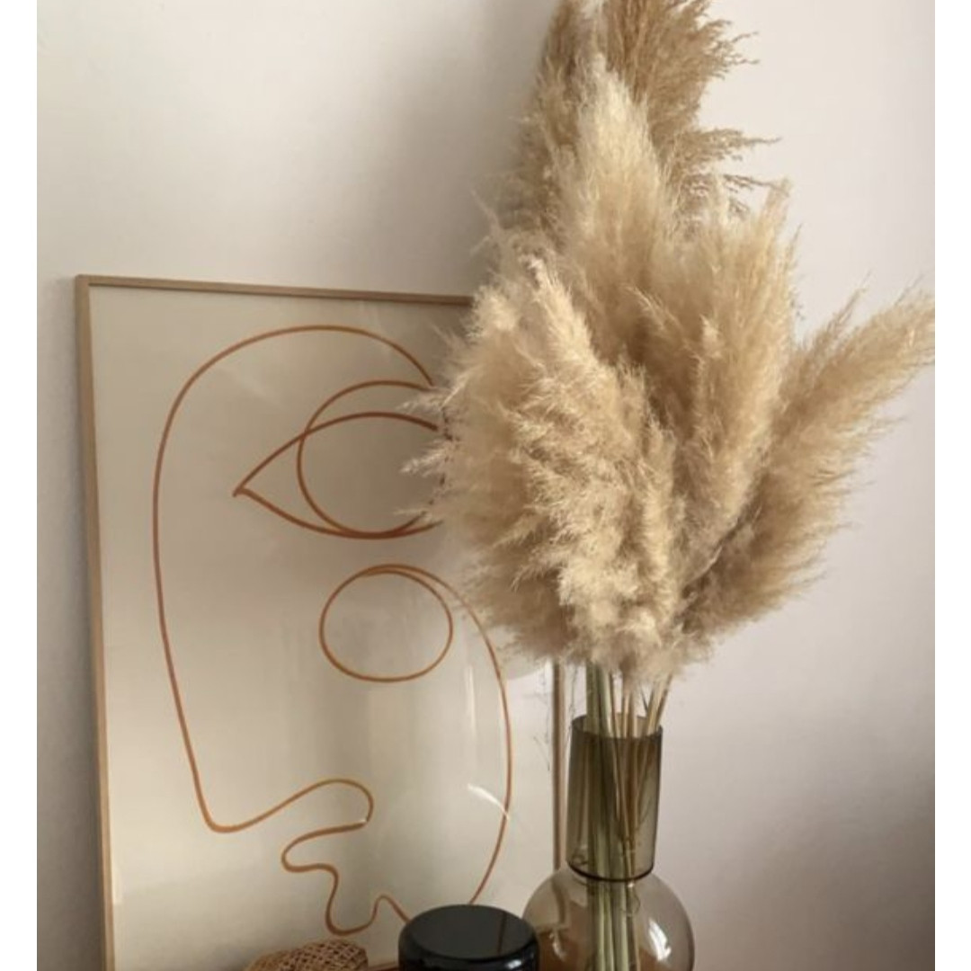 دکوری مدل گل خشک پامپاس بسته 6 عددی