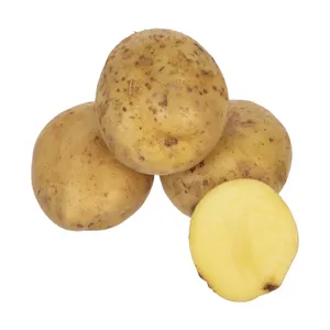 سیب زمینی ارگانیک رضوانی - 1 کیلوگرم