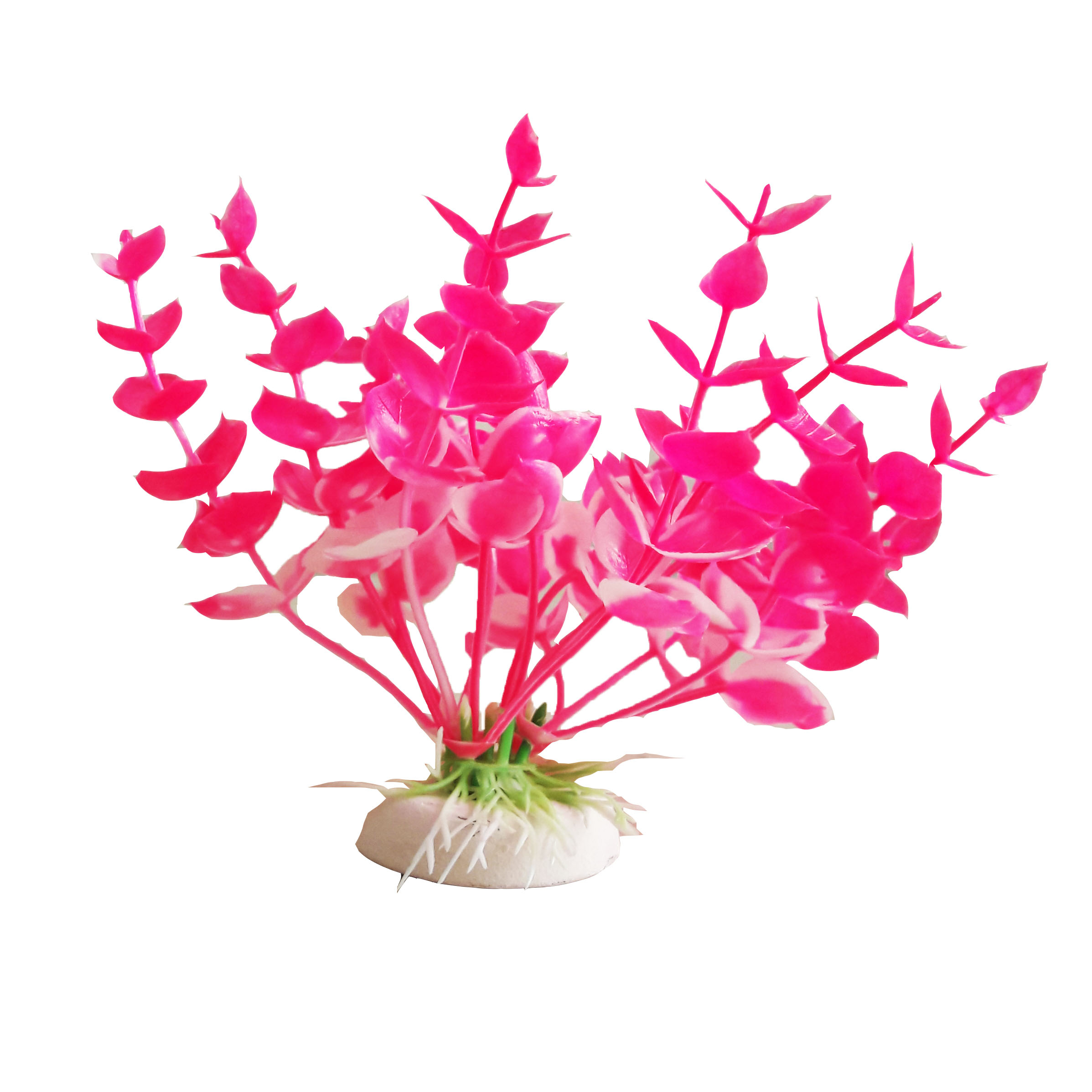گیاه تزیینی آکواریوم کد 010