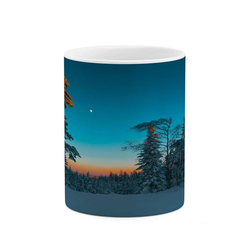 ماگ کاکتی مدل منظره کد mgh13242