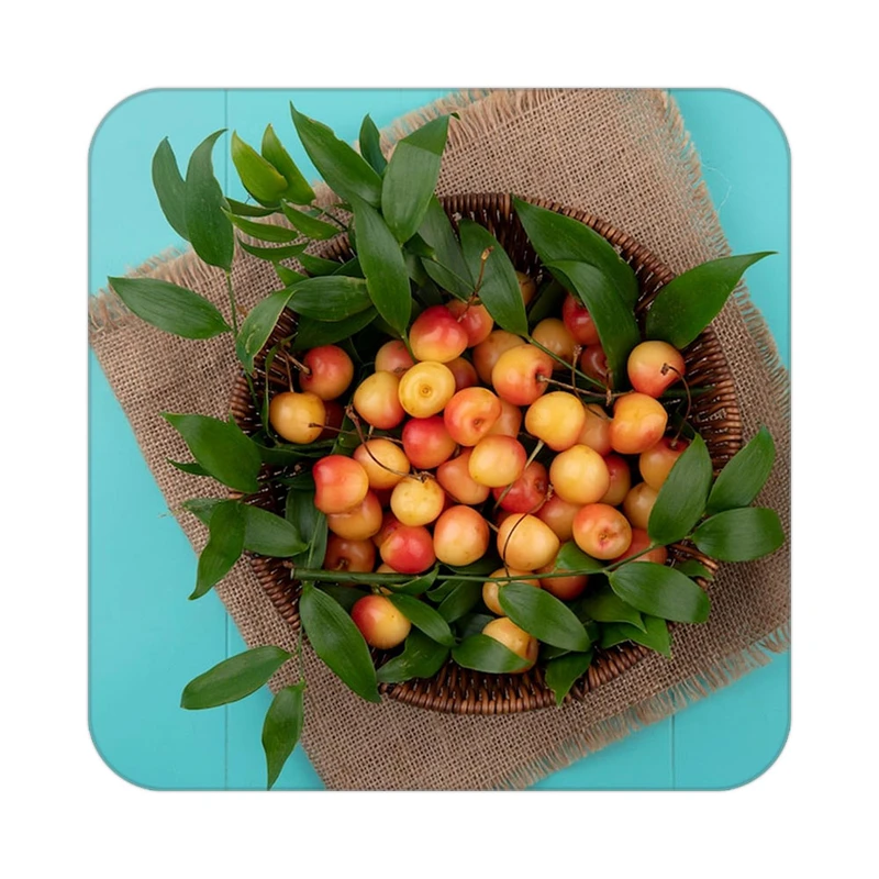 زیر لیوانی کاکتی طرح میوه مدل mp22545