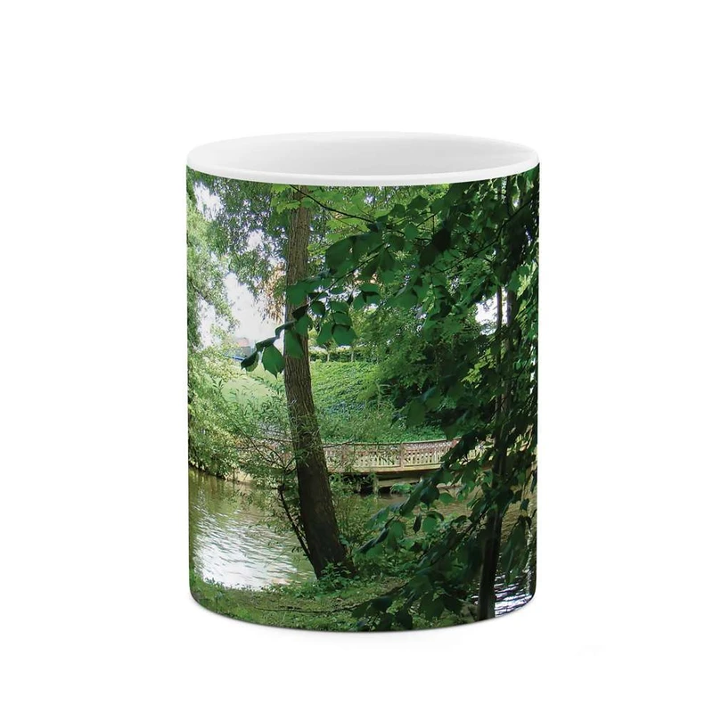 ماگ کاکتی مدل منظره کد mgh10274