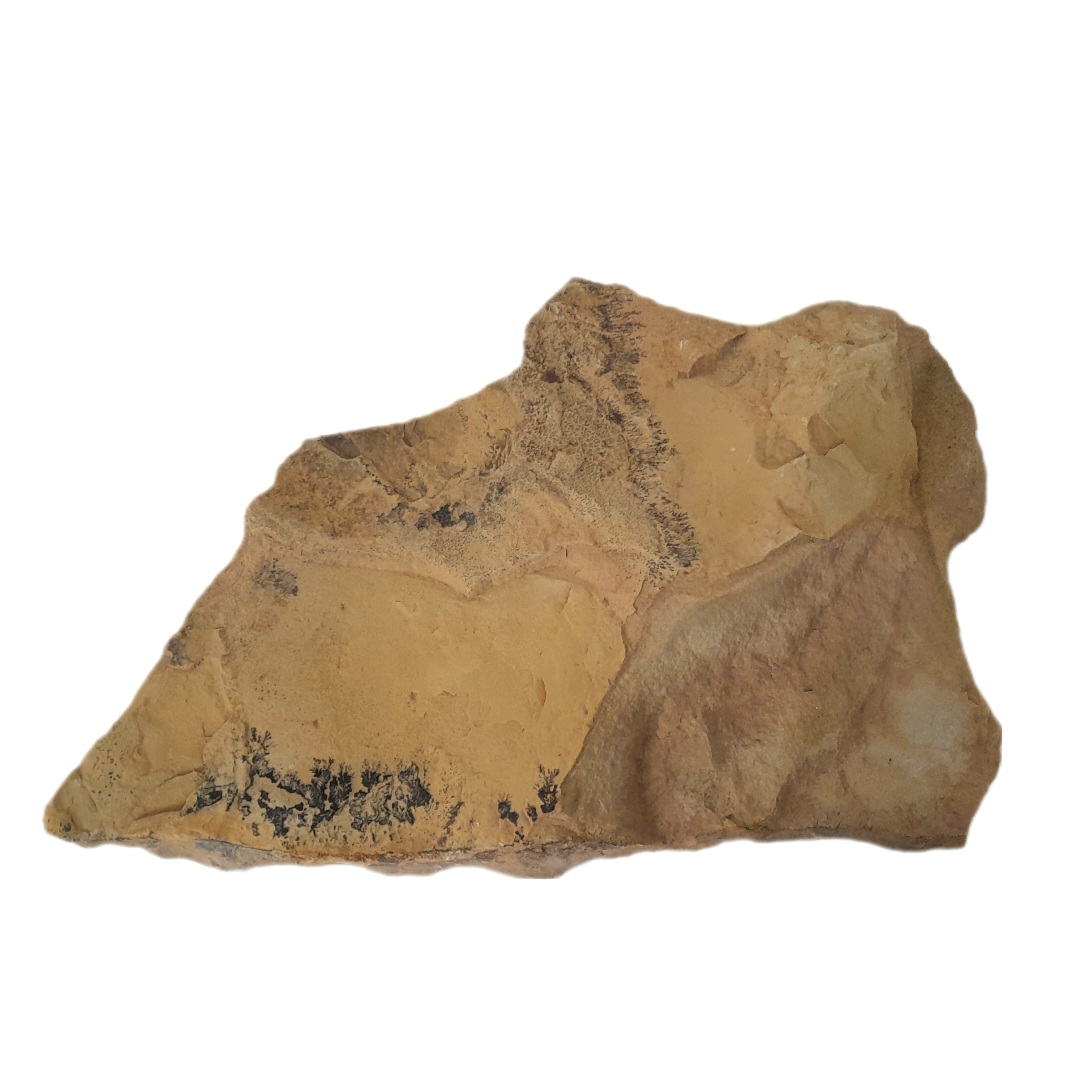 سنگ راف شجر مدل فسیلی کد 150