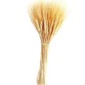 گل خشک مدل گندم کد 10