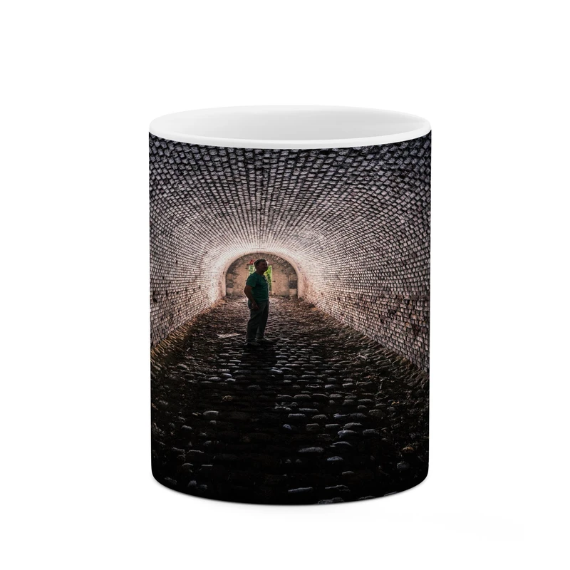 ماگ کاکتی مدل فانتزی کد mgh17459