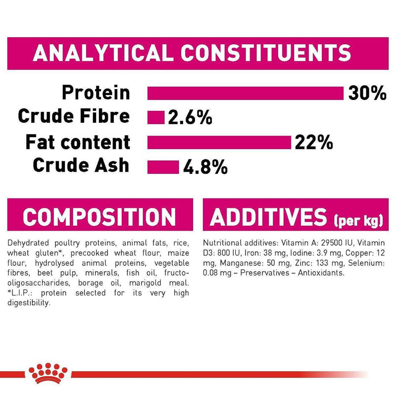 غذا خشک سگ رویال کنین مدل mini exigent وزن 3 کیلوگرم