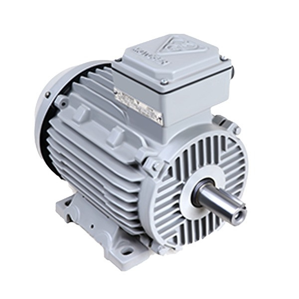 الکتروموتور سه فاز القائی تک دور موتوژن مدل 160L2B 15-3000 54F 380/660 B35