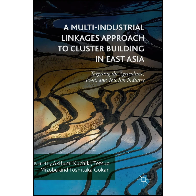 کتاب A Multi-Industrial Linkages Approach to Cluster Building in East Asia اثر جمعي از نويسندگان انتشارات Palgrave Macmillan