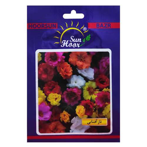 بذر گل ناز آفتابی هورسان کد HSN-035