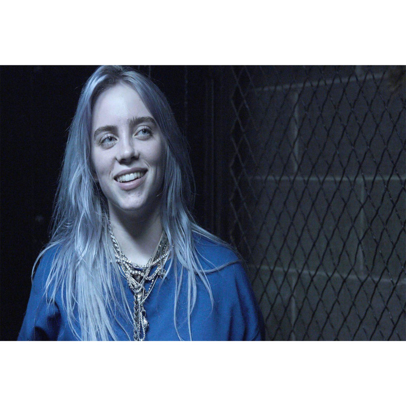 تابلو شاسی مدل خواننده بیلی آیلیش T5566