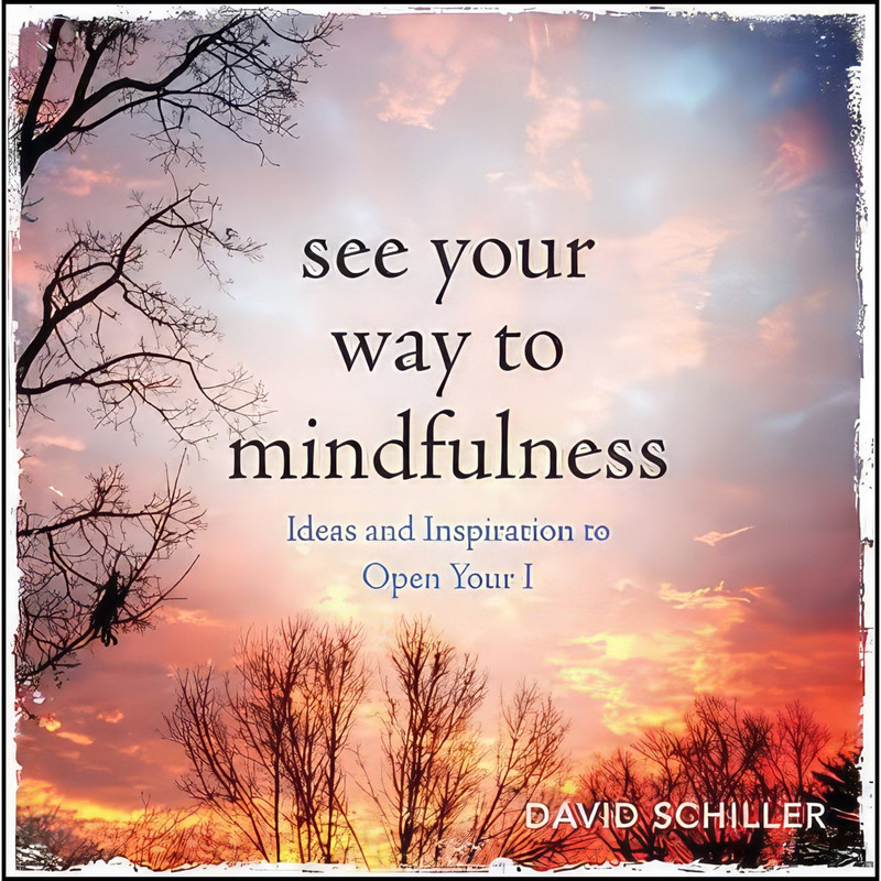 کتاب See Your Way to Mindfulness اثر David Schiller انتشارات Workman Publishing Company