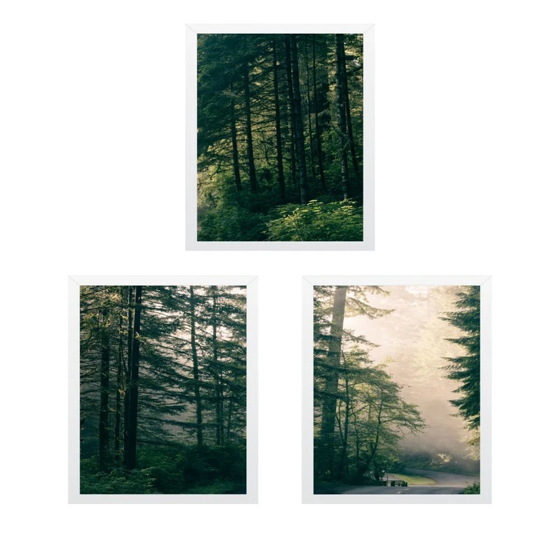 تابلو مدل چاپ جاده جنگل 2 مجموعه 3 عددی