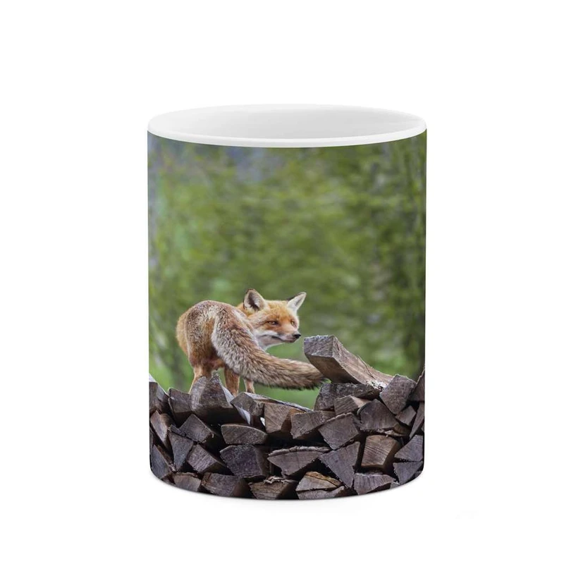 ماگ کاکتی مدل روباه کد mgh14433