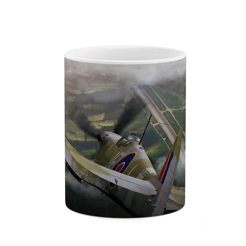 ماگ کاکتی مدل هواپیمای جنگنده کد mgh10659