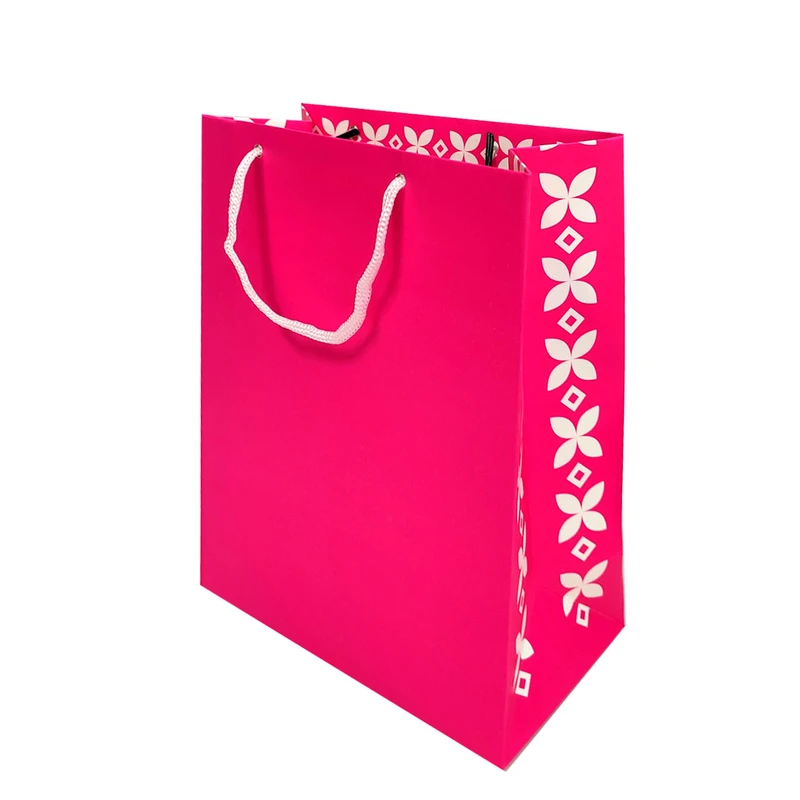 ساک دستی مدل پنتون کد 10500 بسته 12 عددی