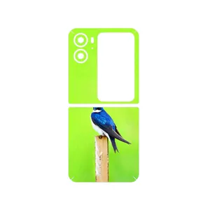 MAHOOT Bird Swallow Cover Sticker for Oppo Find N2 Flip