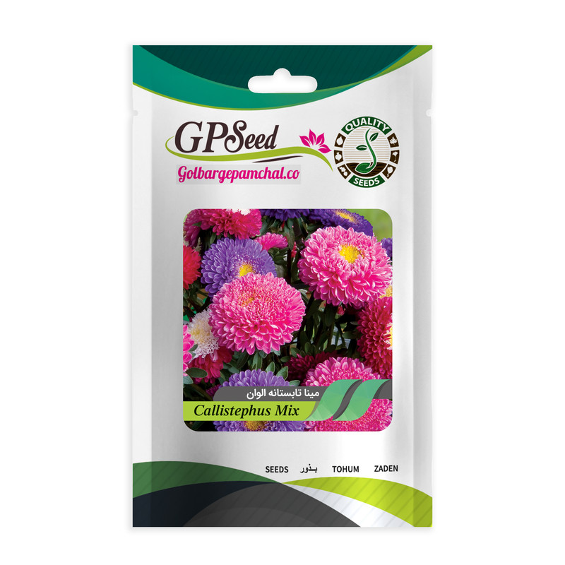 بذر گل مینا پابلند الوان گلبرگ پامچال کد GPF-084