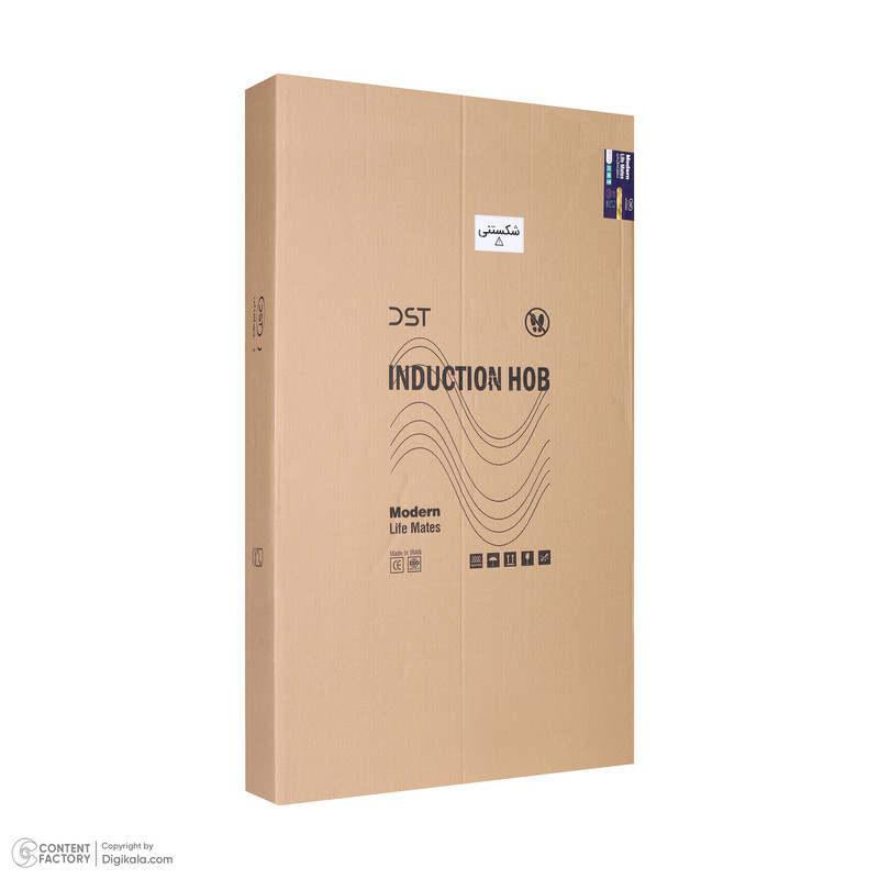 اجاق گاز برقی پنج شعله دی اس تی مدل هیبرید IT5-01