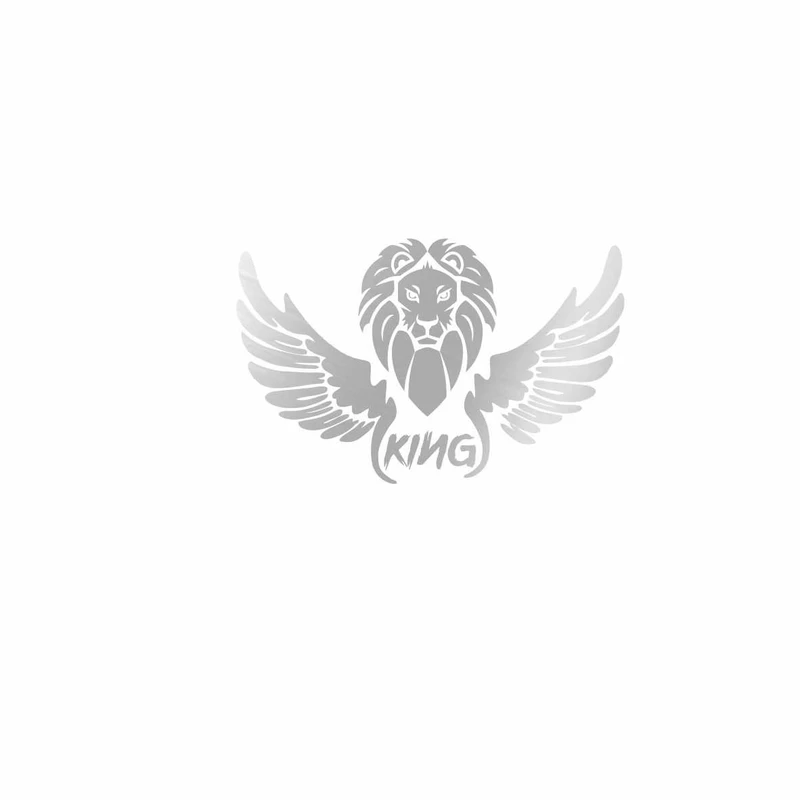 برچسب بدنه خودرو رادیانس طرح kingکد B65