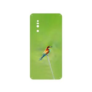 MAHOOT European bee-eater Cover Sticker for VIVO X27