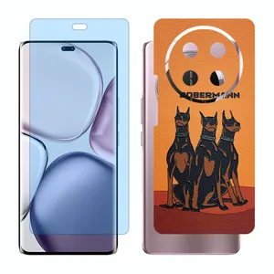 Glass Together model matte anti bluescreen protector suitable for Honor X9c mobile phone with back cover sticker