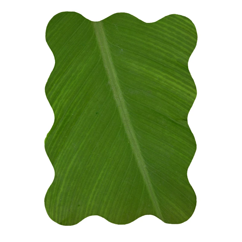 پادری مدل دالبر طرح برگ کد 8003 سایز 80x110 سانتی متر