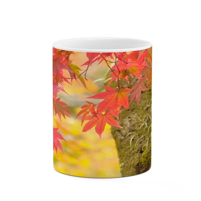 ماگ کاکتی مدل منظره کد mgh17688